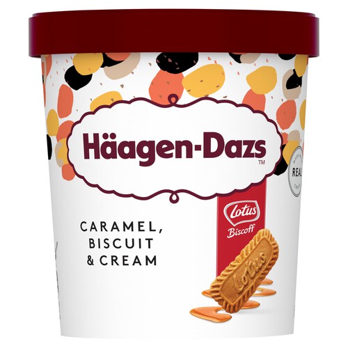 Haagen-Dazs Caramel, Biscuit & Cream Ice Cream