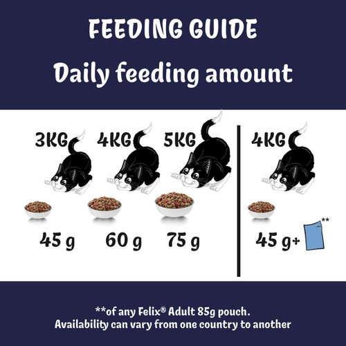 Felix Doubly Delicious Beef Chicken & Vegetables Dry Cat Food
