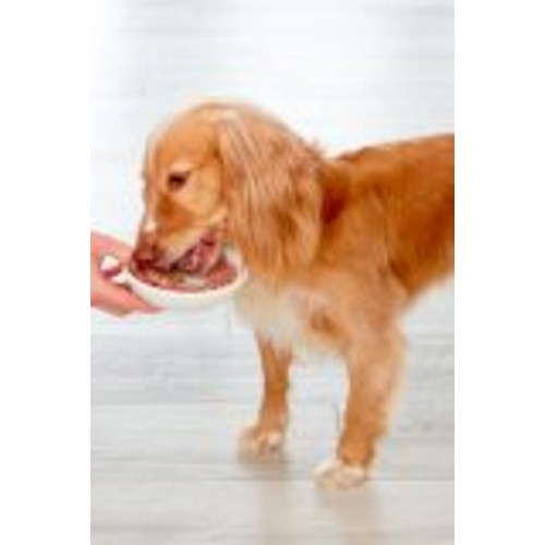 Freshpet Tender Chicken With Peas & Carrots Fresh Dog Food Roll 2kg