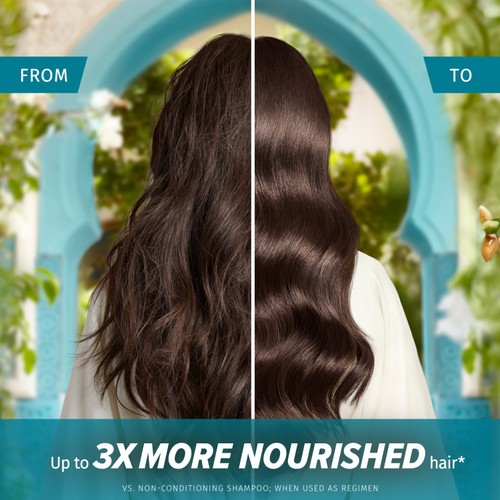 Herbal Essences Argan Conditioner 