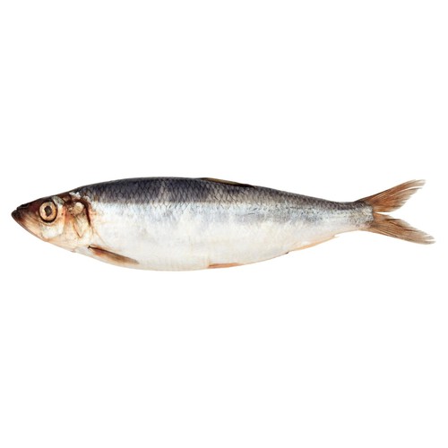 Market Street Fresh British Whole Herring