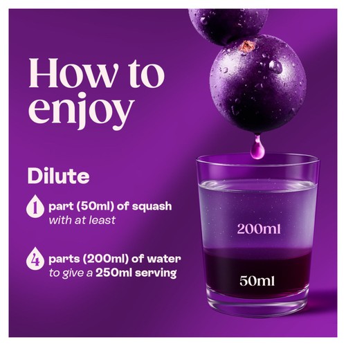 Ribena Blackcurrant Squash No Added Sugar 1.5L