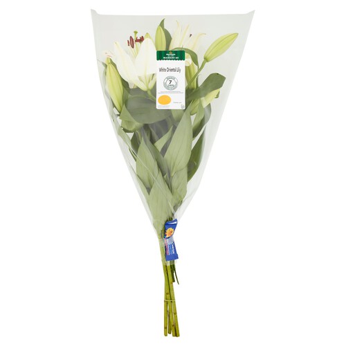 Morrisons Premium Lily Bouquet