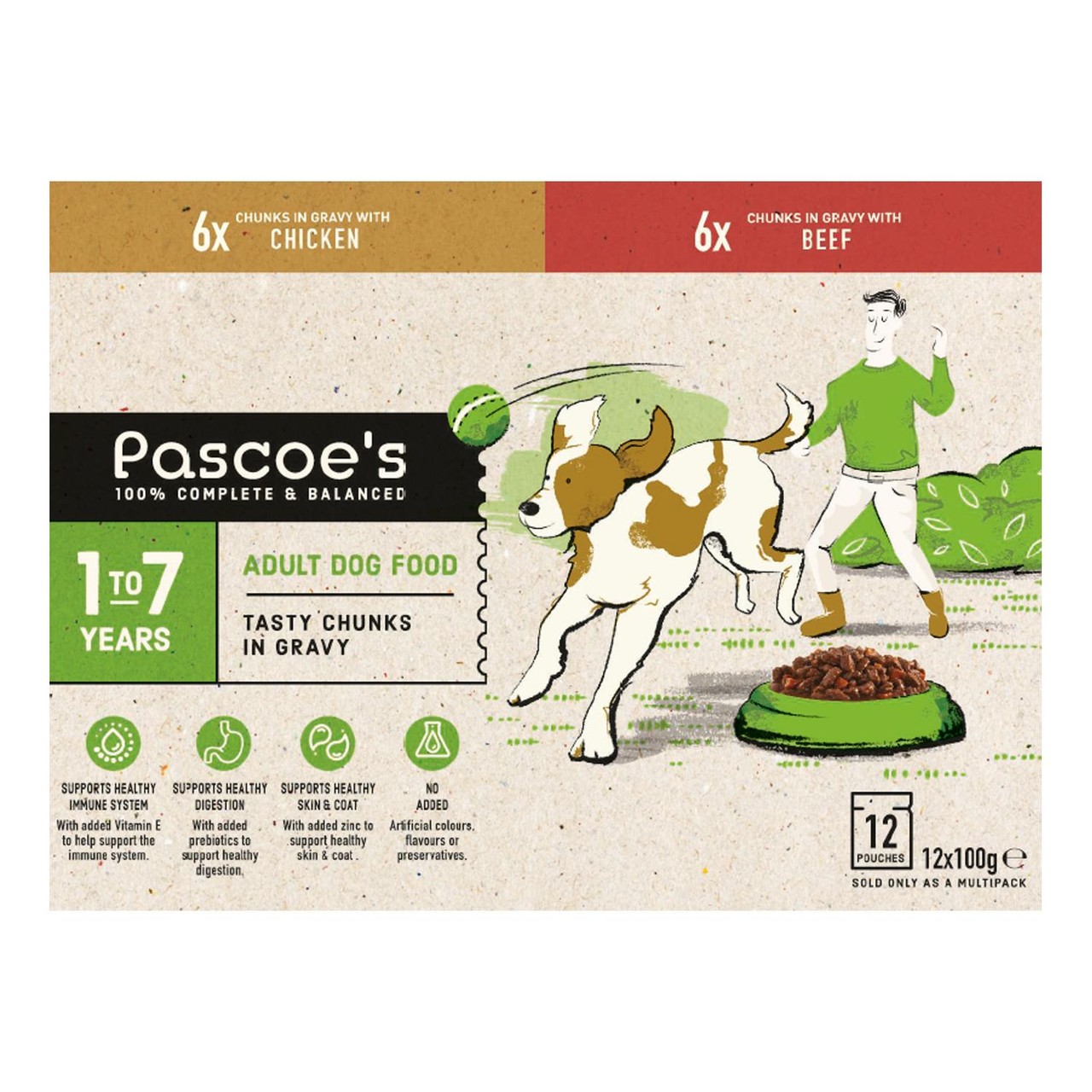 Pascoes Tasty Chunks In Gravy