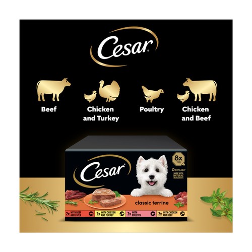 Cesar Classics Terrine Wet Dog Food Trays Mixed In Loaf 8 x 150g
