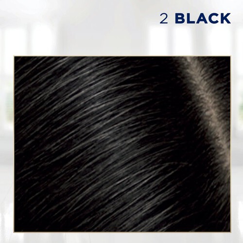 Clairol Root Touch Up Black 2