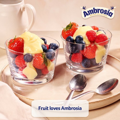 Ambrosia Devon Custard Dessert Snack Pots Multipack 4 x 120g