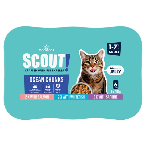 Morrisons Scout Ocean Chunks In Jelly Adult Cat Food 6 x 400g