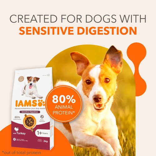 Iams Sensitive Digestion with Turkey 1+ Years 2kg
