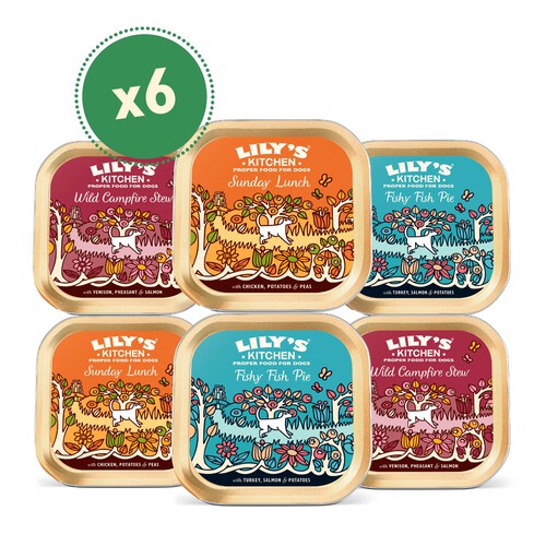 Lily's Kitchen Grain Free Variety Pack For Dogs