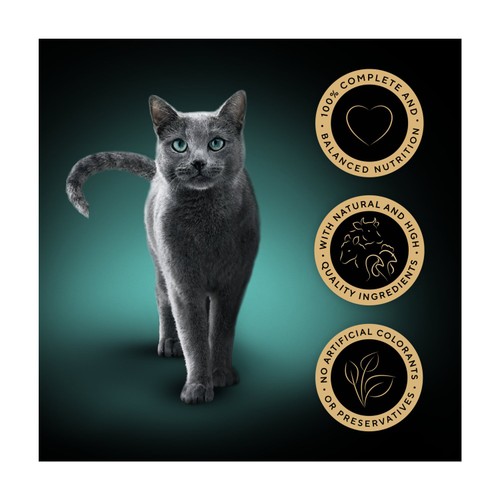 Sheba Sauce Collection Wet Cat Food Pouches Succulent In Gravy 12x85g