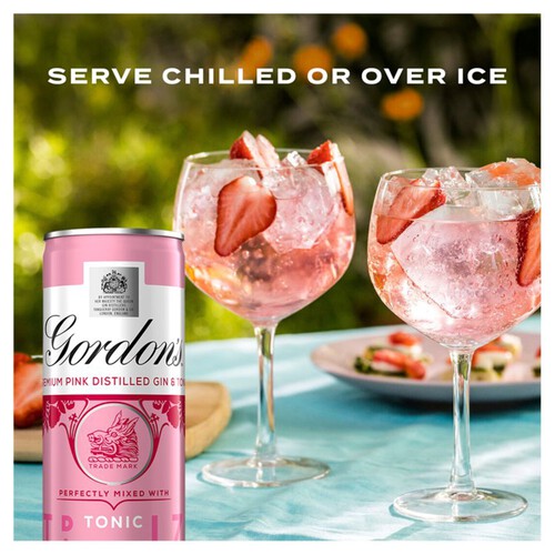 Gordon's Premium Pink Gin & Tonic 5% vol  Ready to Drink Premix Can