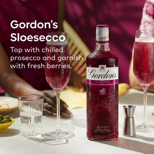 Gordon's Sloe Flavoured Gin 