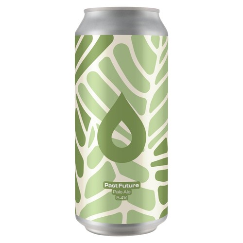 Pollys Past Future Pale Ale 5.4
