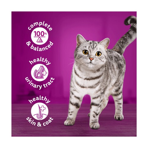 Whiskas Adult Wet Cat Food Chicken in Jelly Tin