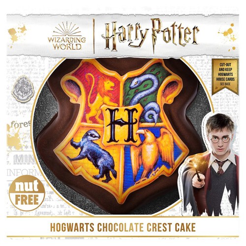 Harry Potter Celebration Cake