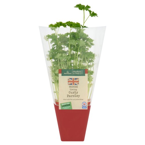 Morrisons British Market Street Living Parsley 10g