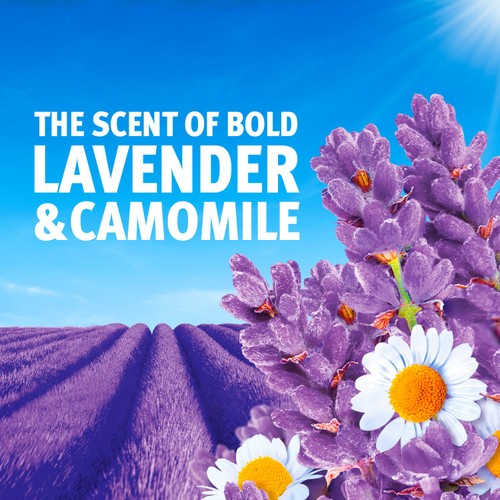 Bold All In 1 Laundry Powder Lavender & Camomile 72 Washes