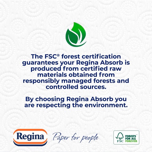 Regina Absorb Kitchen Towel 2 Roll
