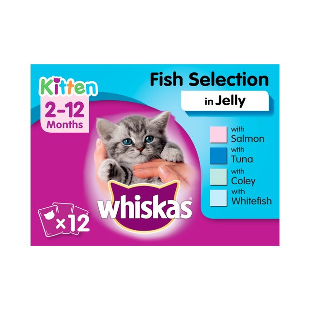 Vijfde Interpretatief willekeurig Whiskas Kitten Wet Cat Food Pouches Fish in Jelly | Morrisons