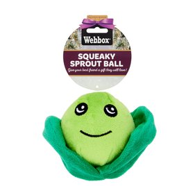 webbox squeaky ball